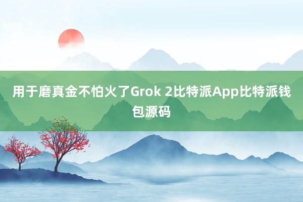 用于磨真金不怕火了Grok 2比特派App比特派钱包源码