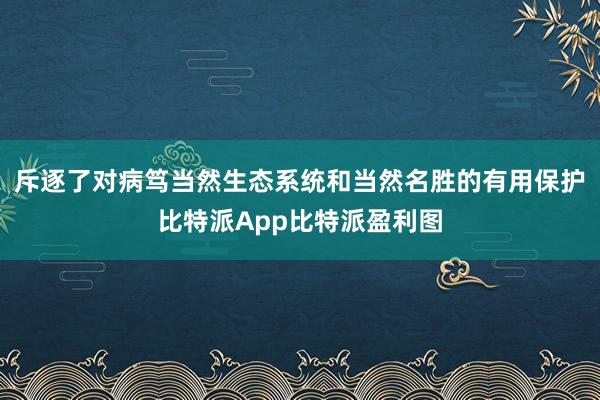 斥逐了对病笃当然生态系统和当然名胜的有用保护比特派App比特派盈利图