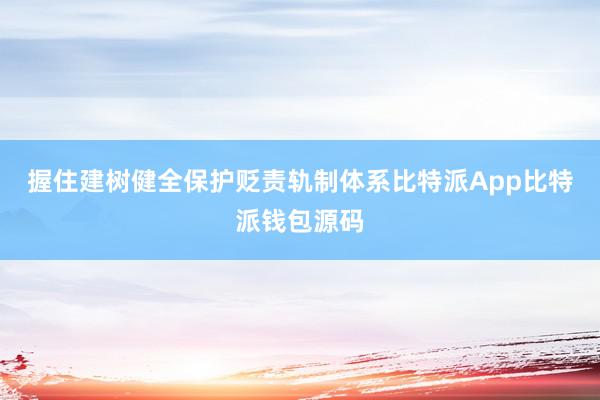 握住建树健全保护贬责轨制体系比特派App比特派钱包源码