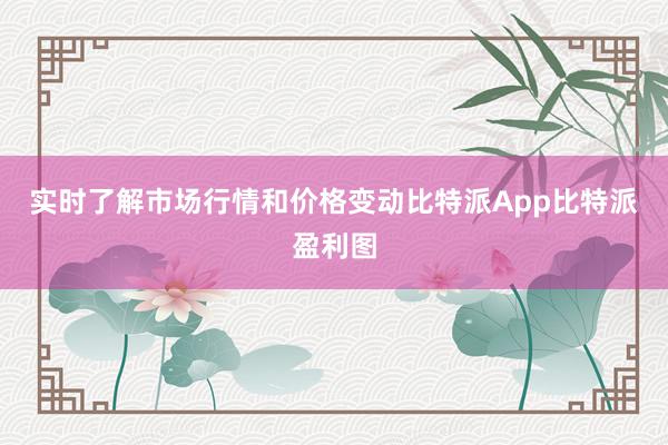 实时了解市场行情和价格变动比特派App比特派盈利图