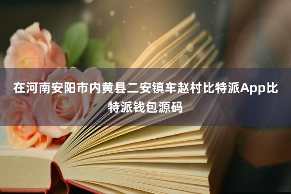 在河南安阳市内黄县二安镇车赵村比特派App比特派钱包源码