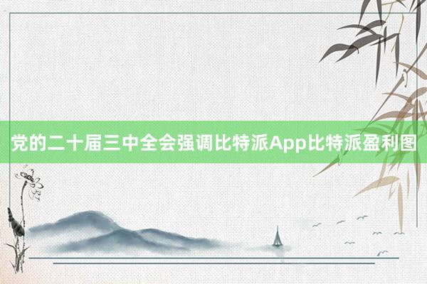 党的二十届三中全会强调比特派App比特派盈利图