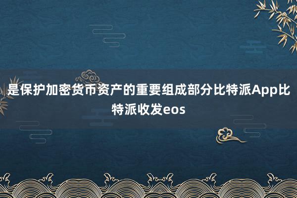 是保护加密货币资产的重要组成部分比特派App比特派收发eos