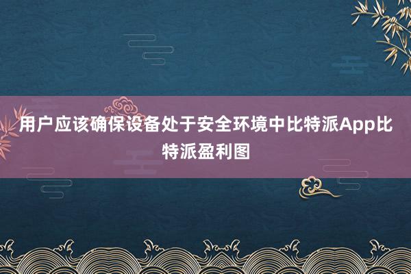 用户应该确保设备处于安全环境中比特派App比特派盈利图