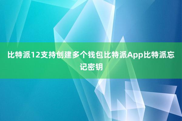 比特派12支持创建多个钱包比特派App比特派忘记密钥