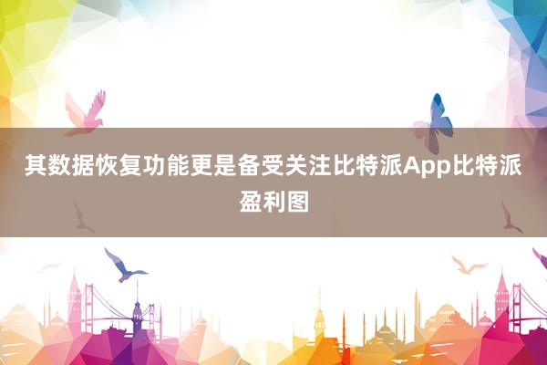 其数据恢复功能更是备受关注比特派App比特派盈利图