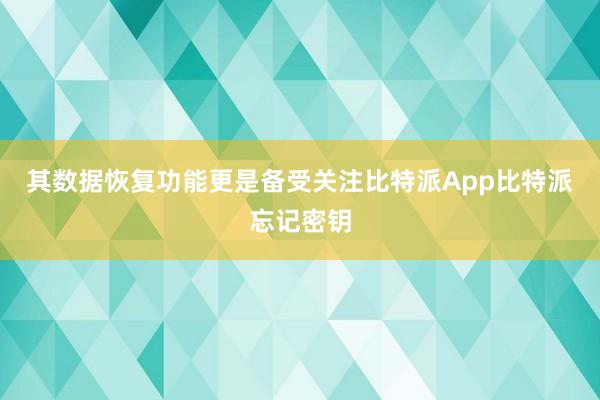 其数据恢复功能更是备受关注比特派App比特派忘记密钥