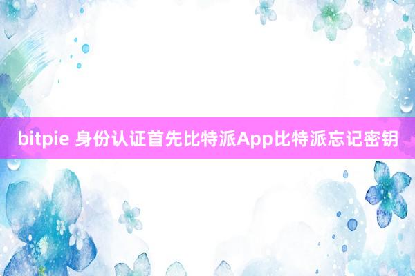 bitpie 身份认证首先比特派App比特派忘记密钥