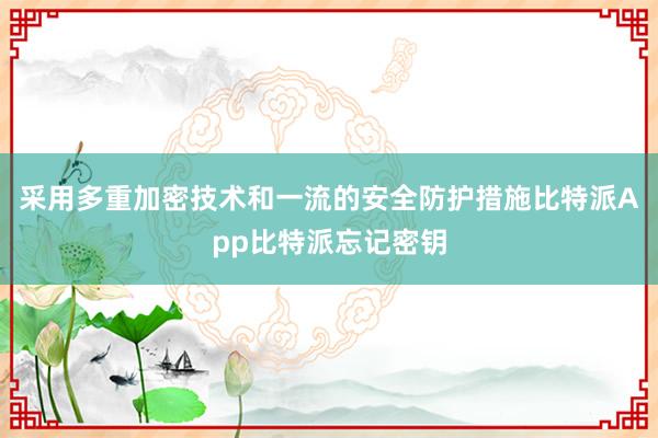 采用多重加密技术和一流的安全防护措施比特派App比特派忘记密钥