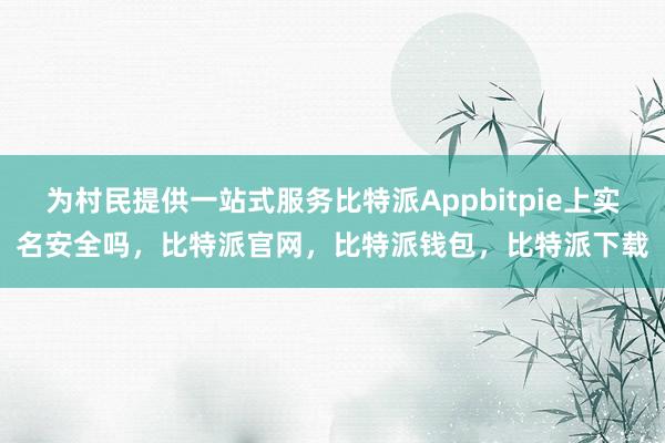 为村民提供一站式服务比特派Appbitpie上实名安全吗，比特派官网，比特派钱包，比特派下载