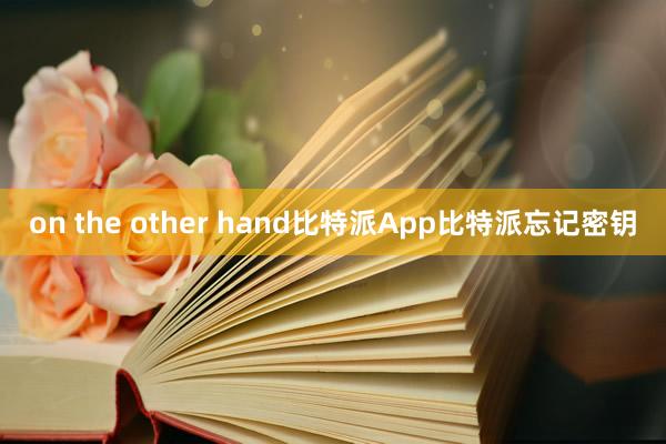 on the other hand比特派App比特派忘记密钥