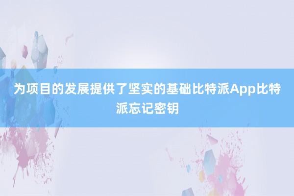 为项目的发展提供了坚实的基础比特派App比特派忘记密钥