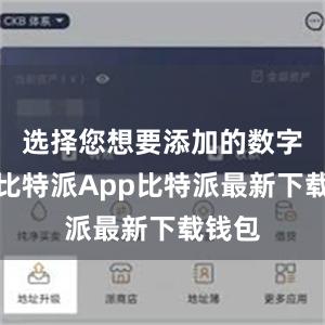 选择您想要添加的数字资产比特派App比特派最新下载钱包