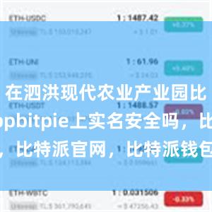 在泗洪现代农业产业园比特派Appbitpie上实名安全吗，比特派官网，比特派钱包，比特派下载