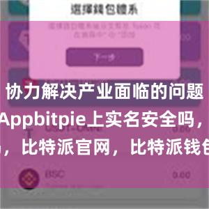 协力解决产业面临的问题比特派Appbitpie上实名安全吗，比特派官网，比特派钱包，比特派下载