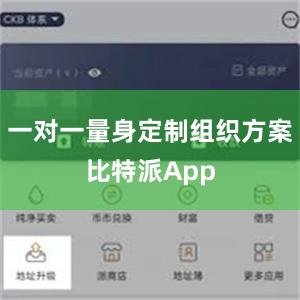 一对一量身定制组织方案比特派App