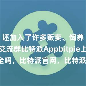 还加入了许多贩卖、饲养爬宠的交流群比特派Appbitpie上实名安全吗，比特派官网，比特派钱包，比特派下载